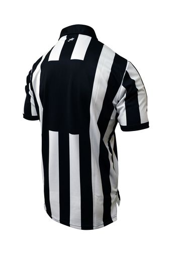 Honig's 2" Stripe Short Sleeve Jersey With Position/number Placket on back.
