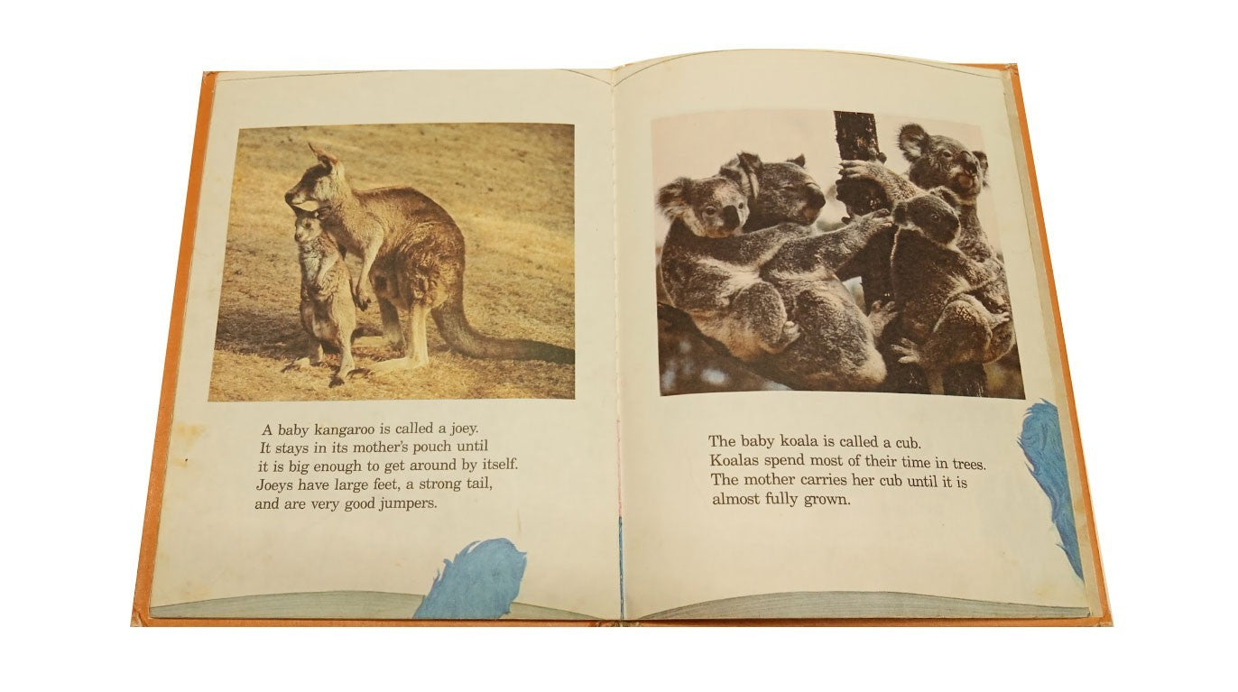 Grover's Book of Cute Little Baby Animals: Featuring Jim Henson's   b-34