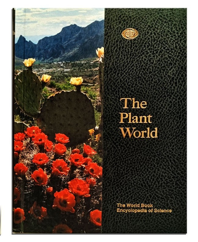 The World Book Encyclopedia of Science:5:The Plant world  b34