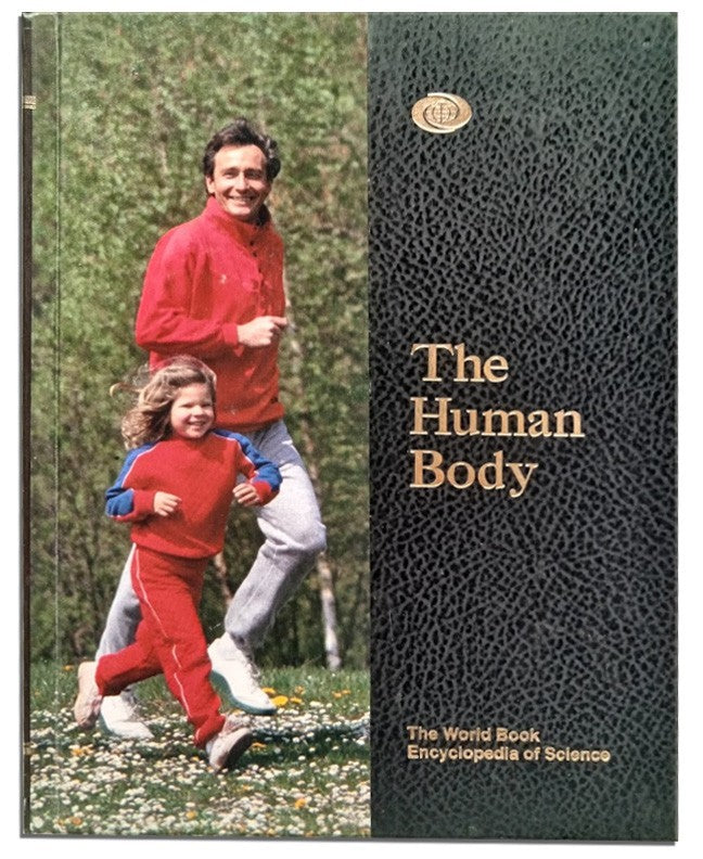 The World Book Encyclopedia of Science:7:The Human Body  b34